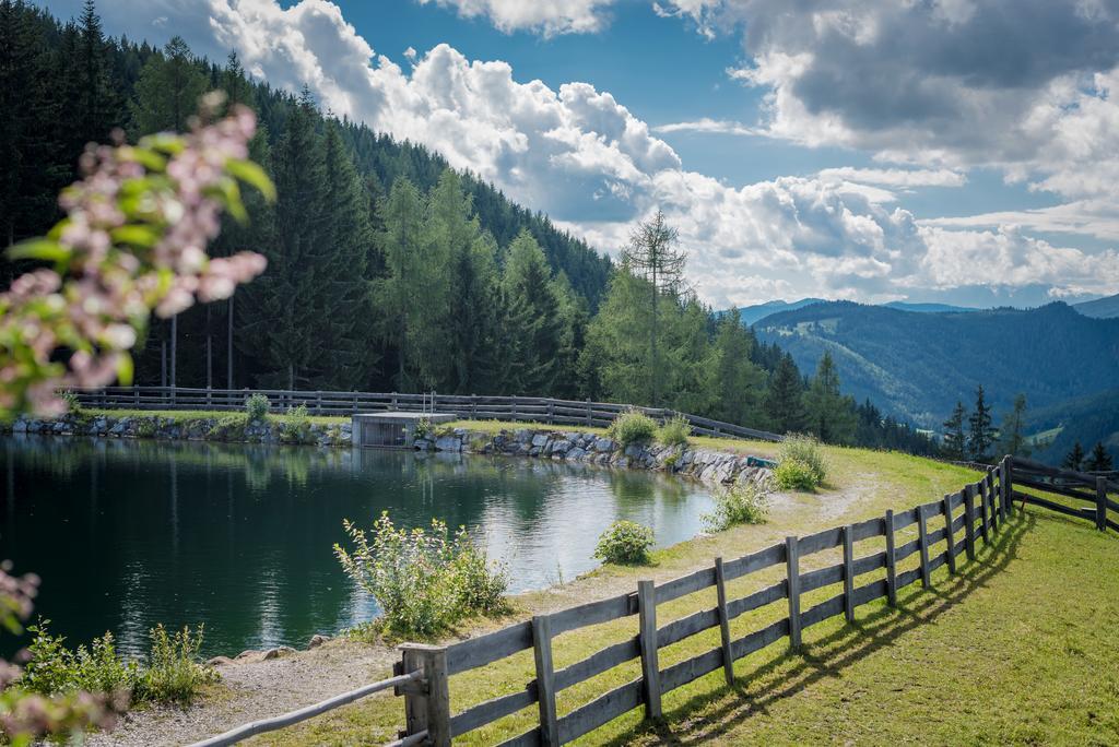 Almwelt Austria 4* Schladming